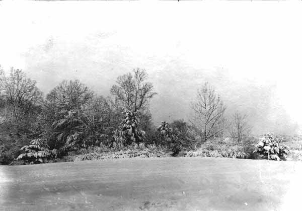 Snow scene