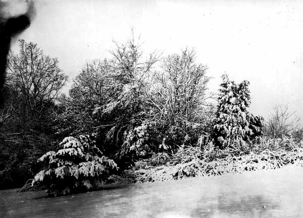Snow scene