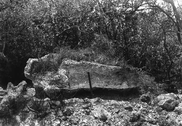 Aboriginal fireplace?
