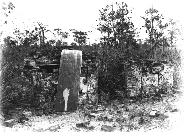 Tombs in pinelands