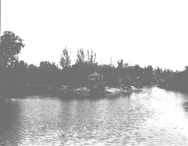 Monkey island and house