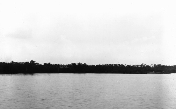 Coastline