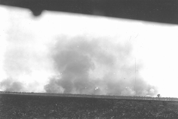 Forest fire in the Everglades