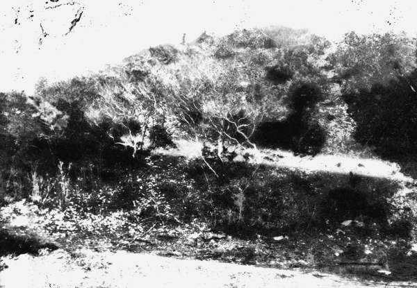 Turtle Mound kitchen-midden