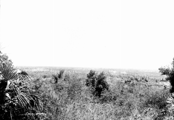 Prairie