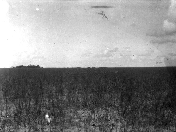 Prairie