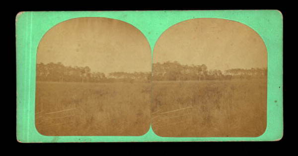 View of the prairie in south Florida