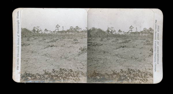 Unidentified agricultural field