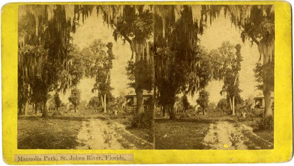 Magnolia Park by the Saint Johns River