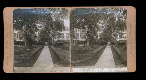 Grounds of the Royal Poinciana Hotel, Largest in the World, Palm Beach, Florida.