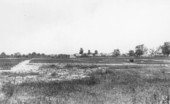 Seed beds