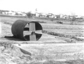 Mechanical seed bed roller