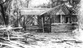 Leader's cabin at the Oleno forestry training camp (Oleno State Park) during construction by the CCC - Columbia County, Florida.
