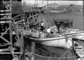 Commercial fishermen on their boat - Cedar Key, Florida