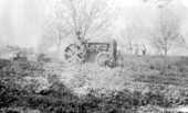 Tractor tilling field of australian peas - Walton County, Florida.