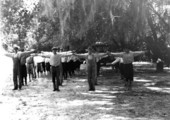 Exercising at the Columbia County camp - Ichetucknee Springs State Park, Florida