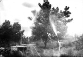 Spraying for pecan scab - Wells' orchard