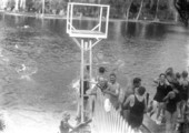 Swimmers at Silver Springs - Ocala, Florida