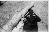 Cannon recovered from shipwreck
