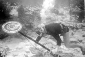 Treasure hunter Art McKee using a metal detector underwater