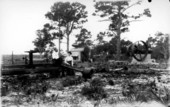 The Browns at the sawmill - Eastpoint, Florida.