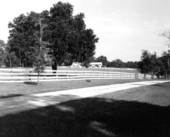 View of a horse farm - Ocala, Florida
