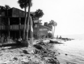 Tampa homes on the water.