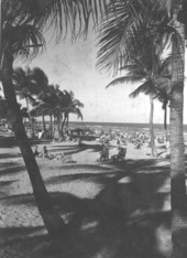 Winter on Miami Beach, Florida