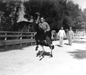 James Davis riding ostrich "Bronco" bareback at Casper's Ostrich & Alligator Farm - Saint Augustine, Florida