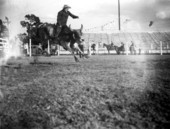 Lou Quirk rides a wild bull - Lakeland, Florida