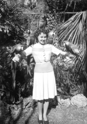 Parrots resting on a woman at Parrot Jungle - Miami, Florida.