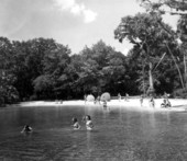 View of the springs - Sanlando Springs, Florida