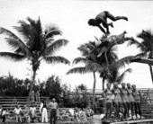 Men diving into pool at the Vanderbilt Hotel - Miami Beach, Florida