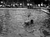 People swimming in the Vanderbilt Pool - Miami Beach, Florida.