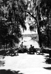 Tourists view Rainbow Springs - Dunnellon, Florida .