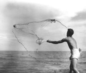 Harvey Allen casts his large shrimp net - Apalachicola Region, Florida