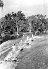 Water skiers on aquaplanes at Cypress Gardens - Winter Haven, Florida