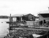 Douglas Fisheries - Welaka, Florida.