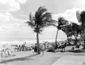 Miami Beach