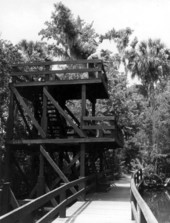 Observation tower at Homosassa Springs - Citrus County, Florida