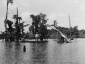 Howe Sadler and guide Charlie Jones fishing for bass - Dead Lakes, Florida