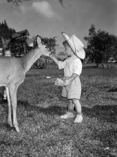 Richard Bader feeding a deer at the Rare Bird Farm - Kendall, Florida