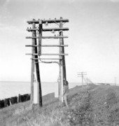 Telephone lines - Florida Keys, Florida