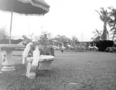 Outdoor cafe for rare birds and animals - Kendall, Florida