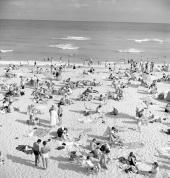 Miami Beach