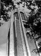 View of Bok Tower - Lake Wales, Florida