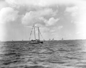 Spectator boats at the Lipton Cup race - Pensacola, Florida.