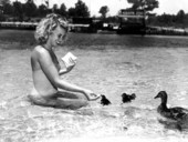 Dot Fitzgerald feeding baby Mallard ducks.