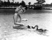 Dot Fitzgerald feeding baby Mallard ducks.