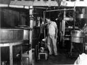 Unidentified man making guava jelly - Bradenton, Florida